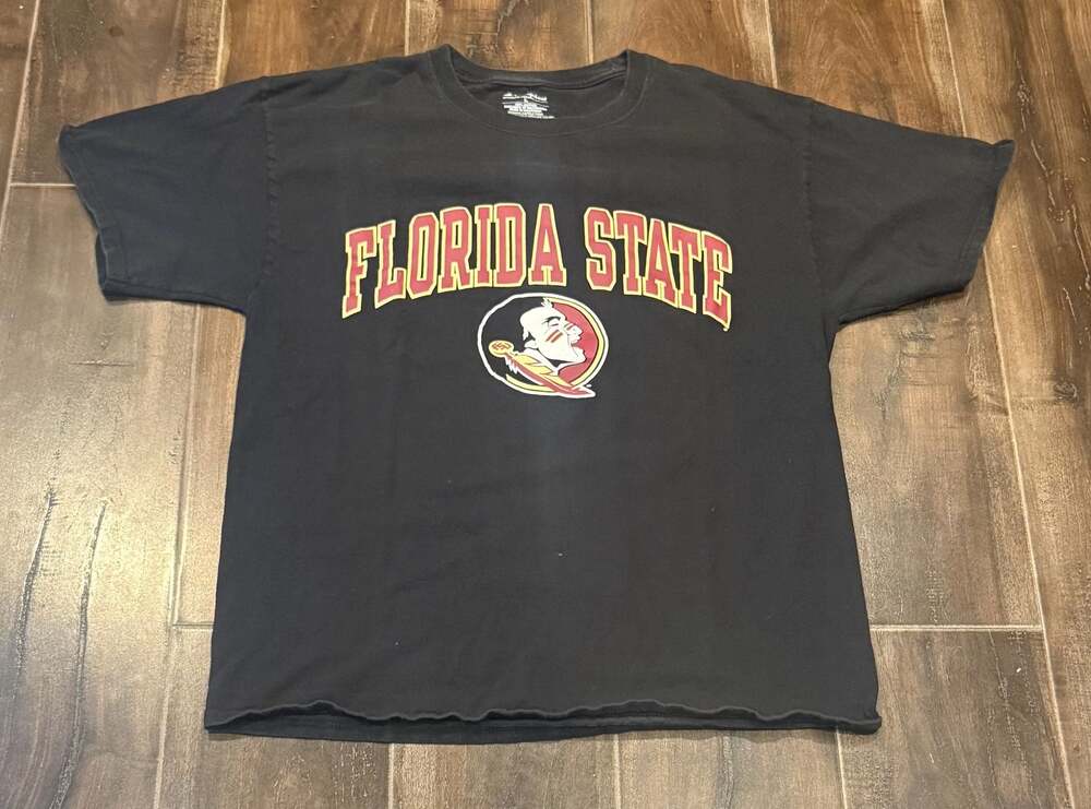 Champion Florida State University FSU Seminoles Graphic T-Shirt
